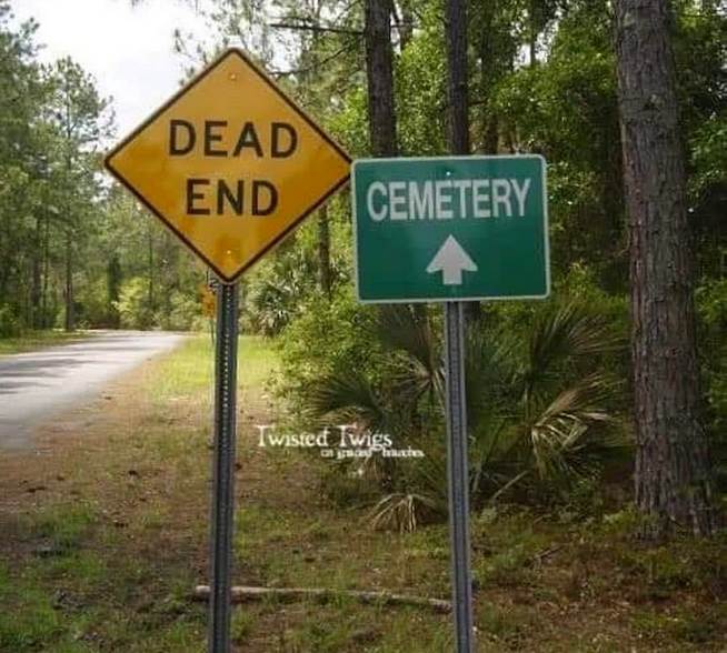 65235643 329517477944453 7917217128602664960 n