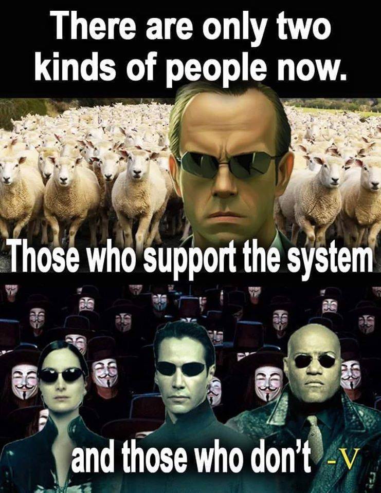 85154231 2272911819674697 8440214952639201280 n