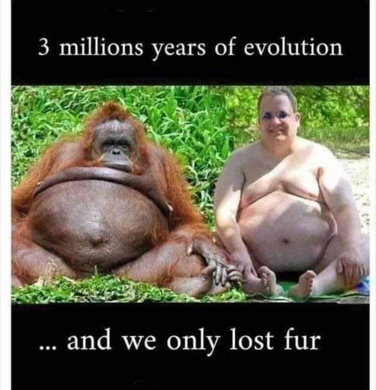 FB IMG 1583913931292