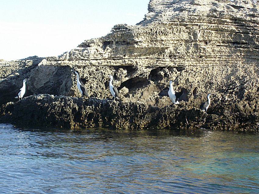 Safety Bay - Western Australia 13th April 2008