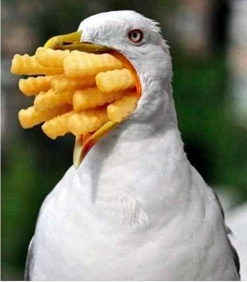 Screenshot 2020-06-07 at 17.41.53