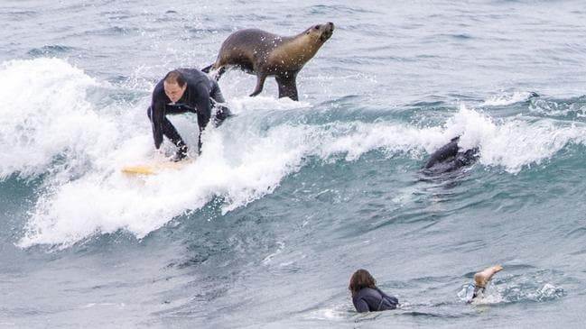 16e9da44c5e483eade4944152997b28f