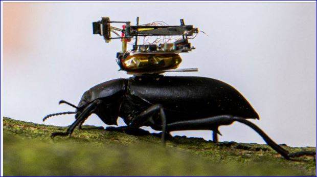 tu,iyui,ty,uityi,yi,