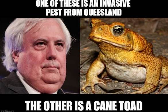 Screenshot 2020-07-29 at 19.59.26