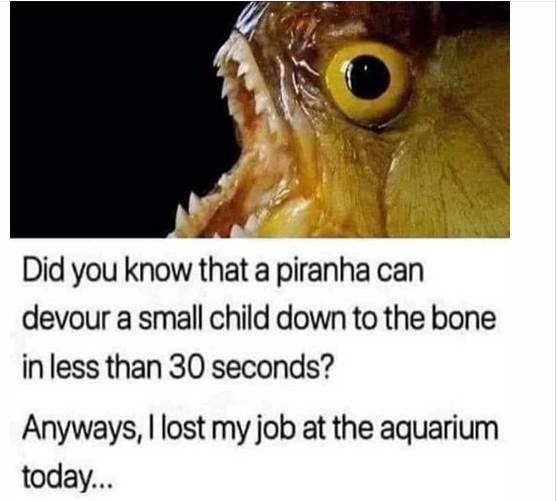 Screenshot 2020-07-31 at 17.18.17