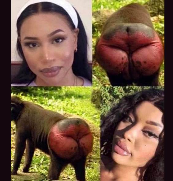 Screenshot 2020-08-01 at 15.12.08