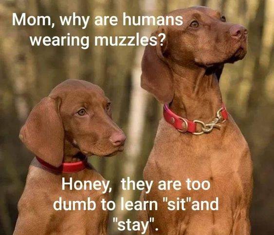 77c0b5c204bcd4e272048d5f92ef214d