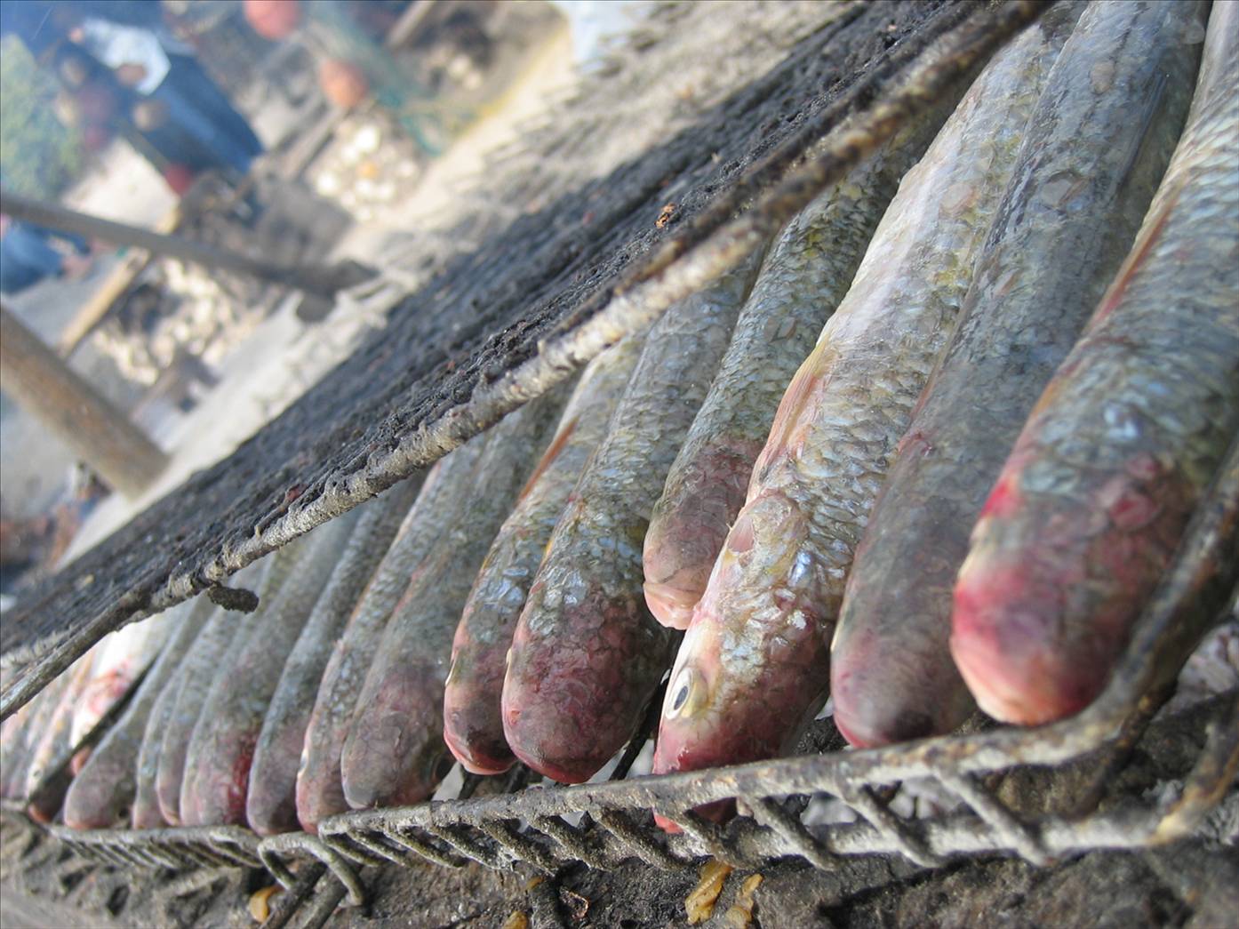 South African West Coast