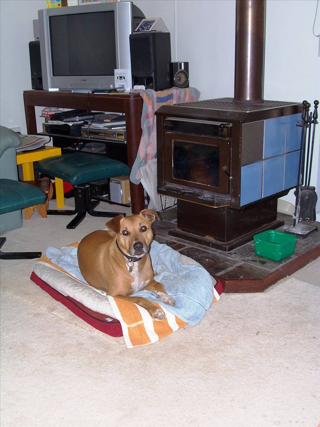 My best mate \"Bundy\"