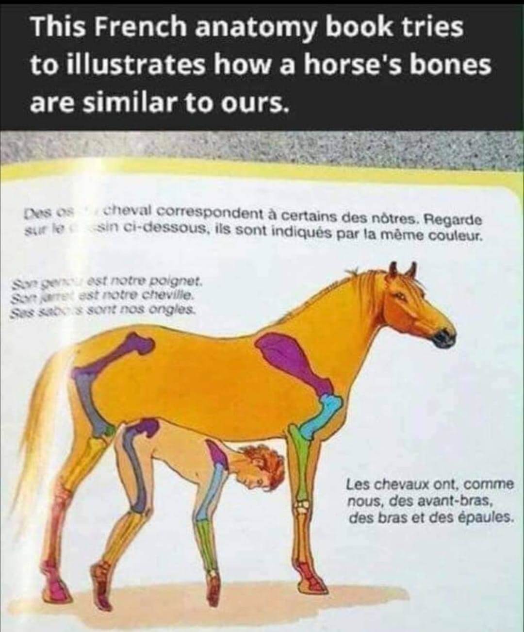 received1557576624447959