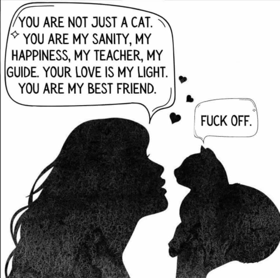 18511811845178152682285702793977747193229414n