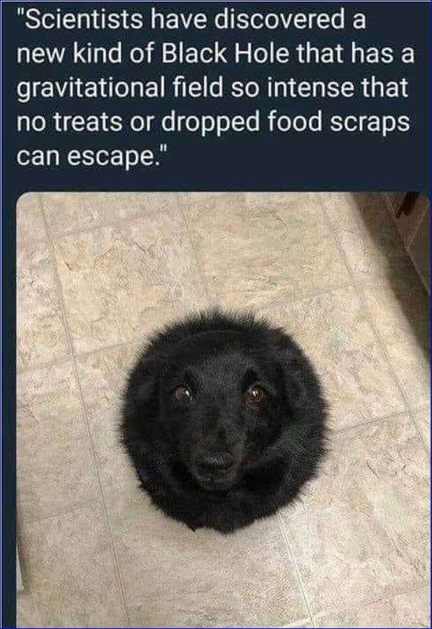 ryretyerty5756nntyty