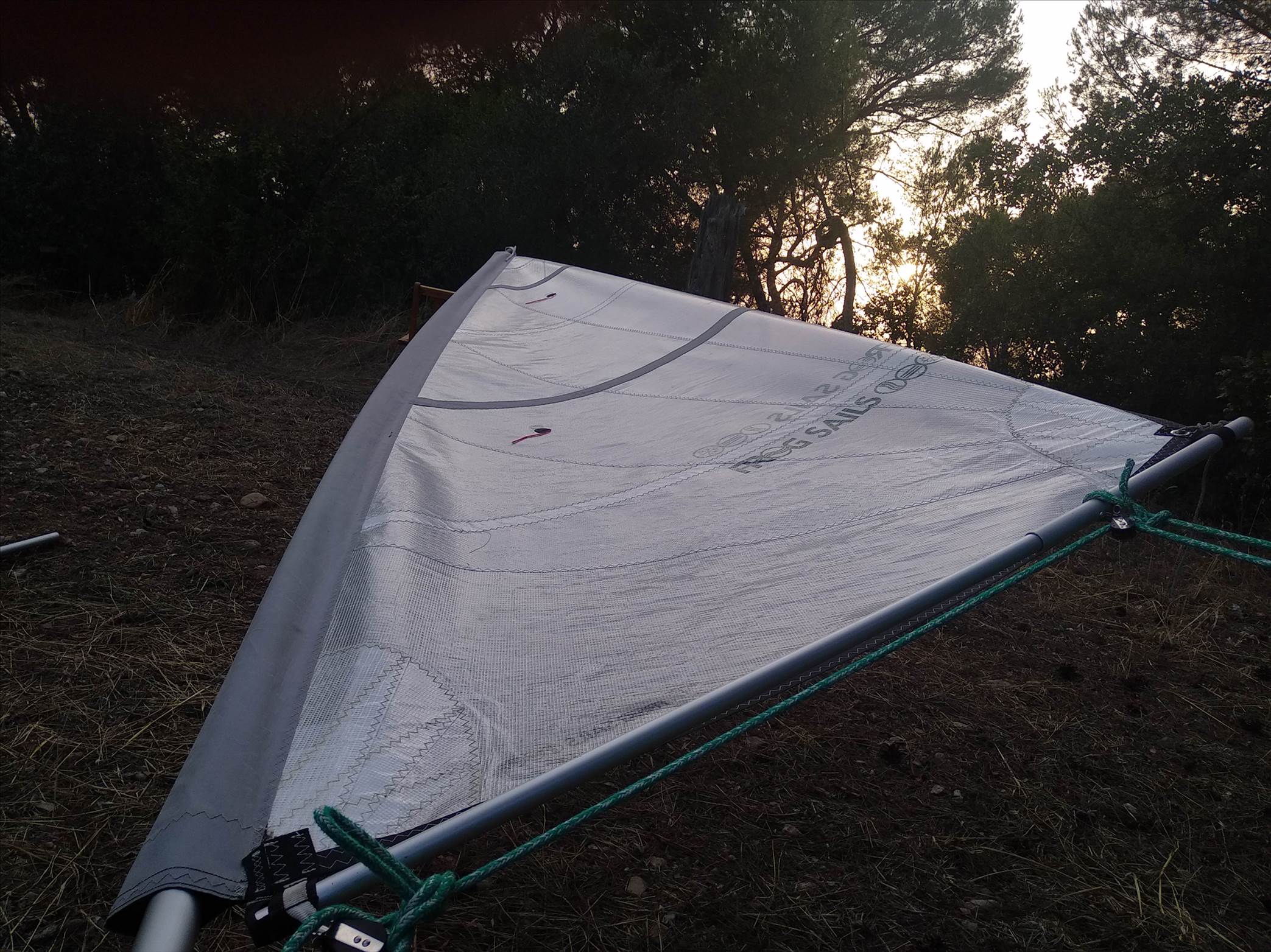 Sail with windsurf mast