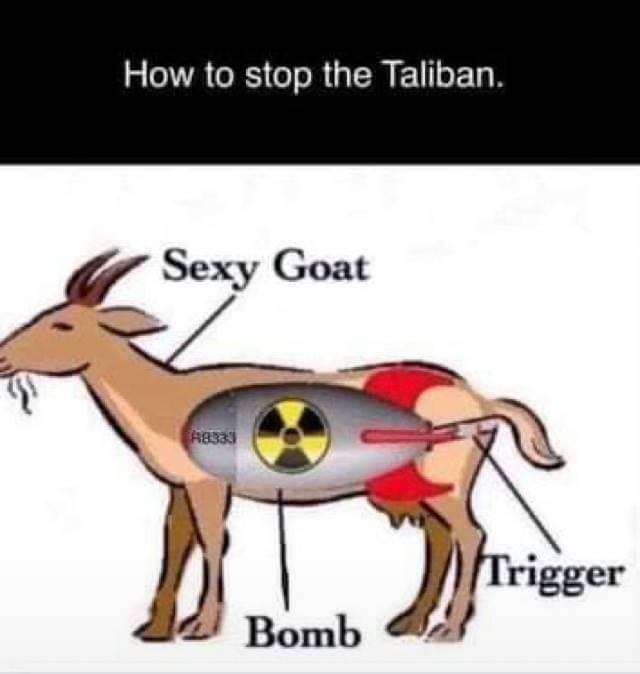 received363969728557184