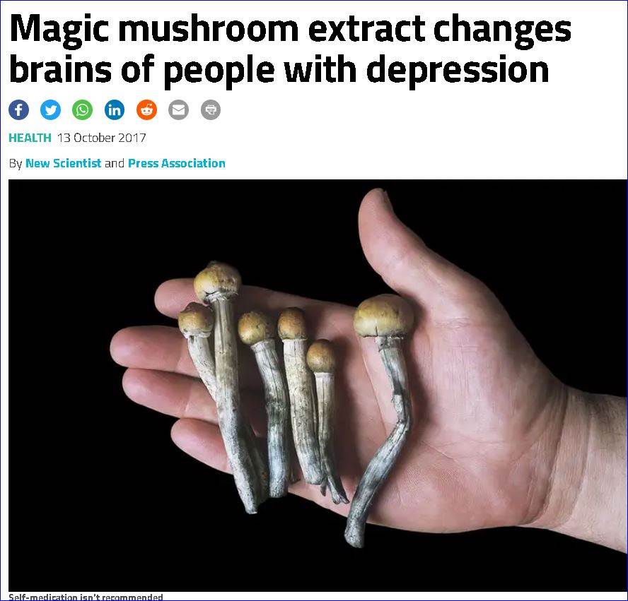 rqwervqwervqwervqwew