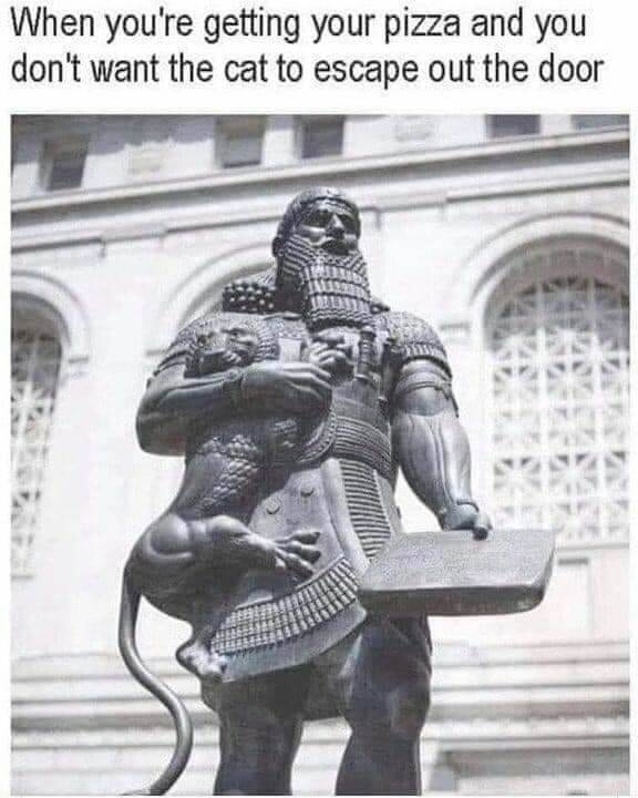 2147412385pizzacat.jpg.2fe196f0c66f7c8faf266d1f6b111e22