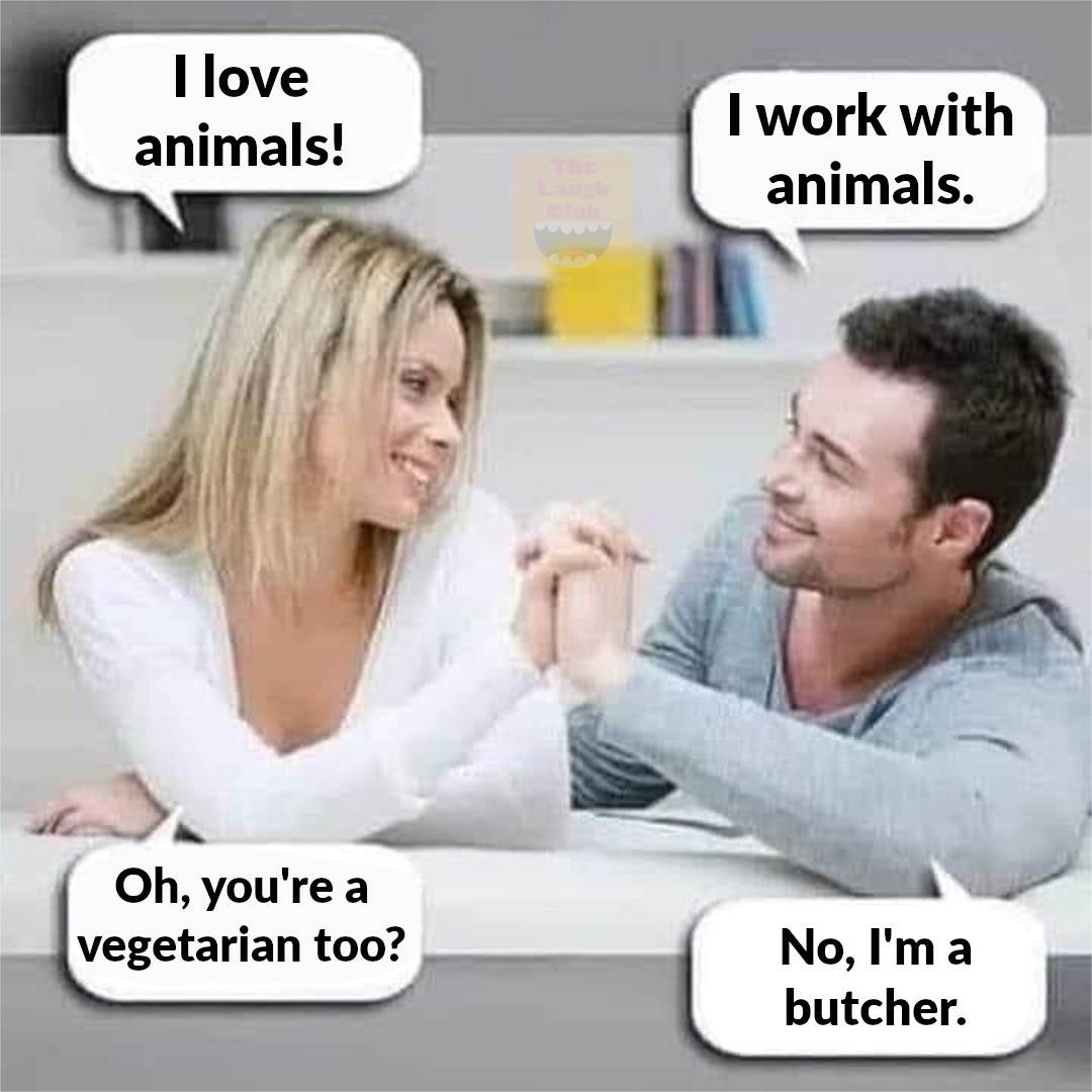 animals