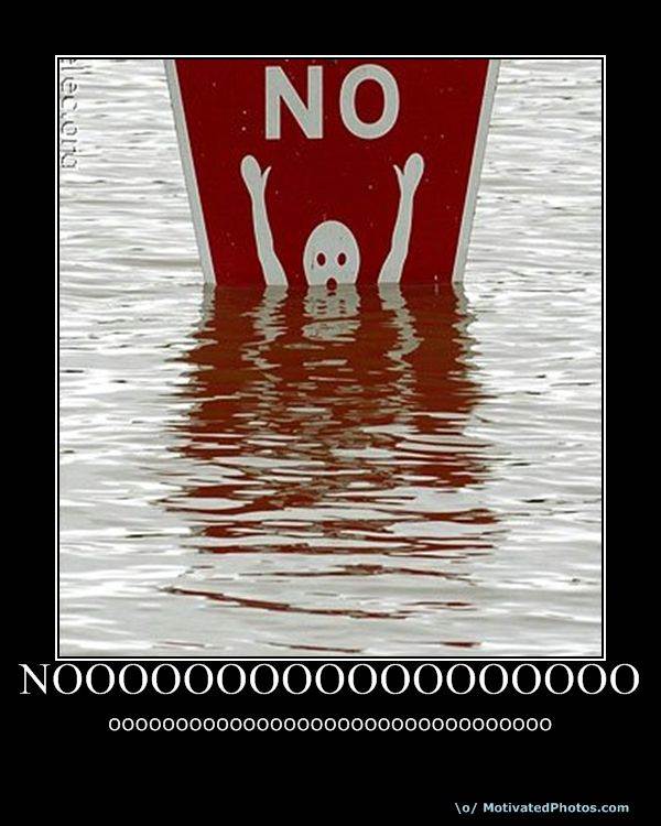 user31330pic69991260400298