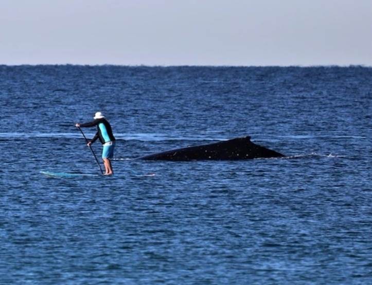 Screenshot20230620205504Facebook