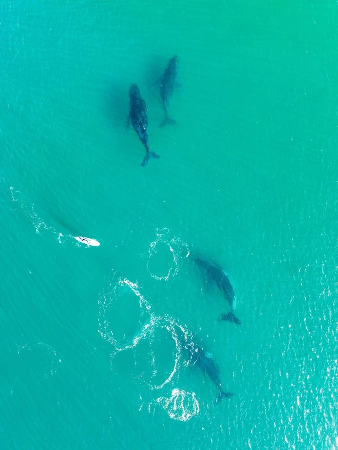 Screenshot20230620203937Messenger