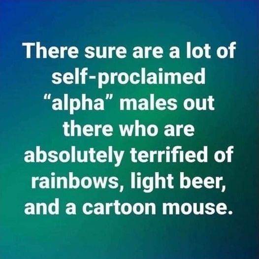 3586516606915508264098287328551768810610248n