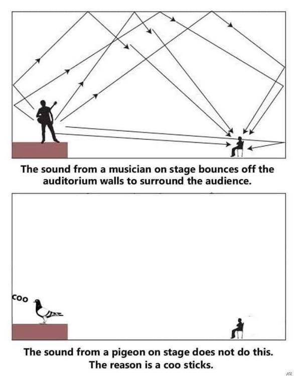 3601166288472706501020335795710884659338977n