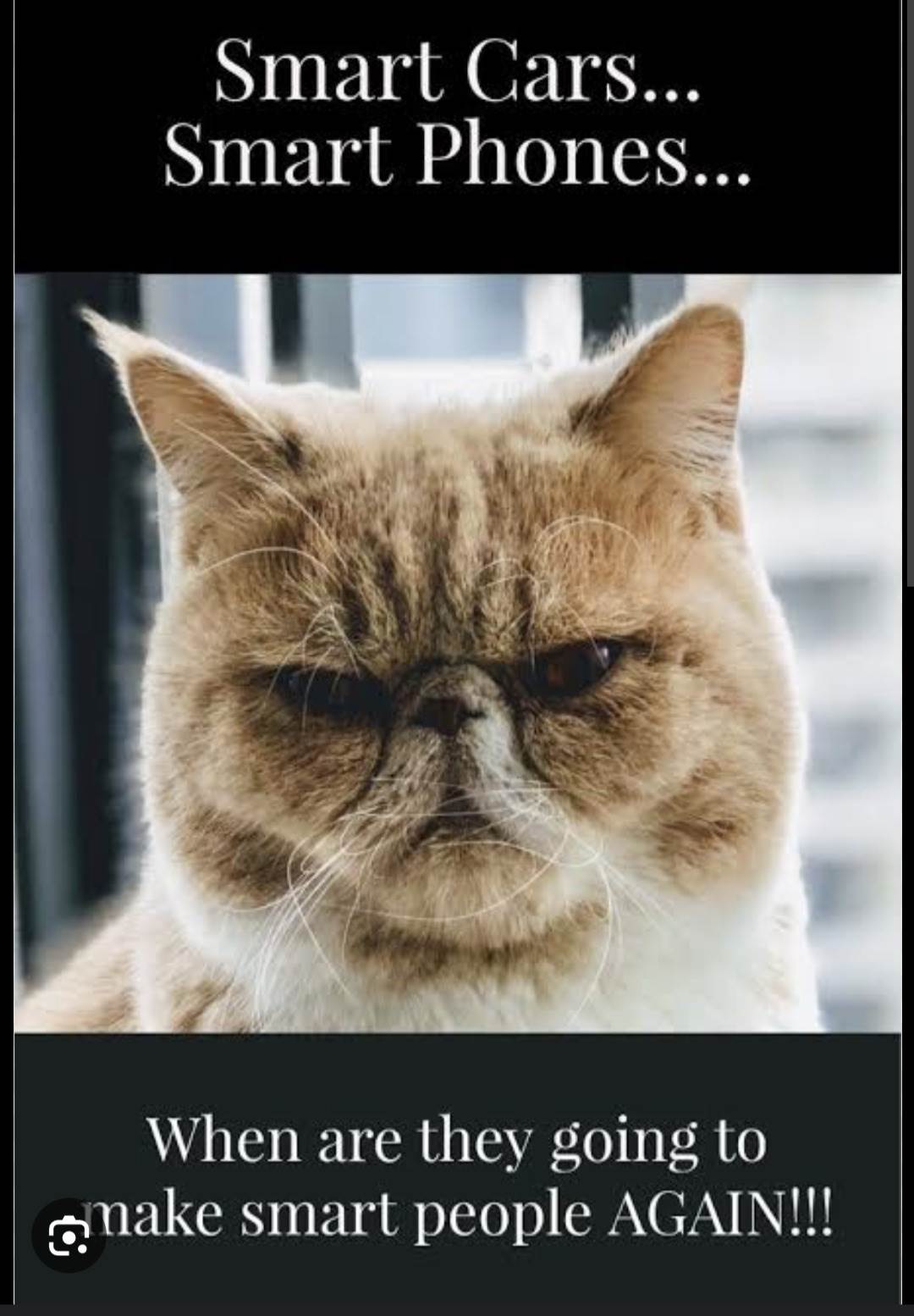 Screenshot20230818-094253