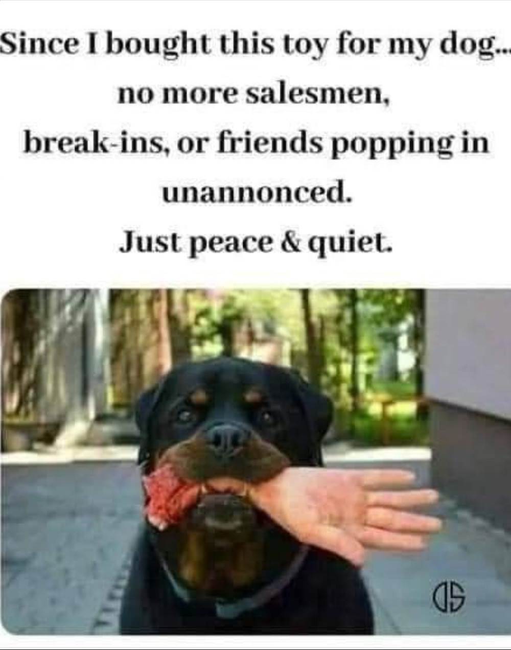 Screenshot20231122154135Facebook