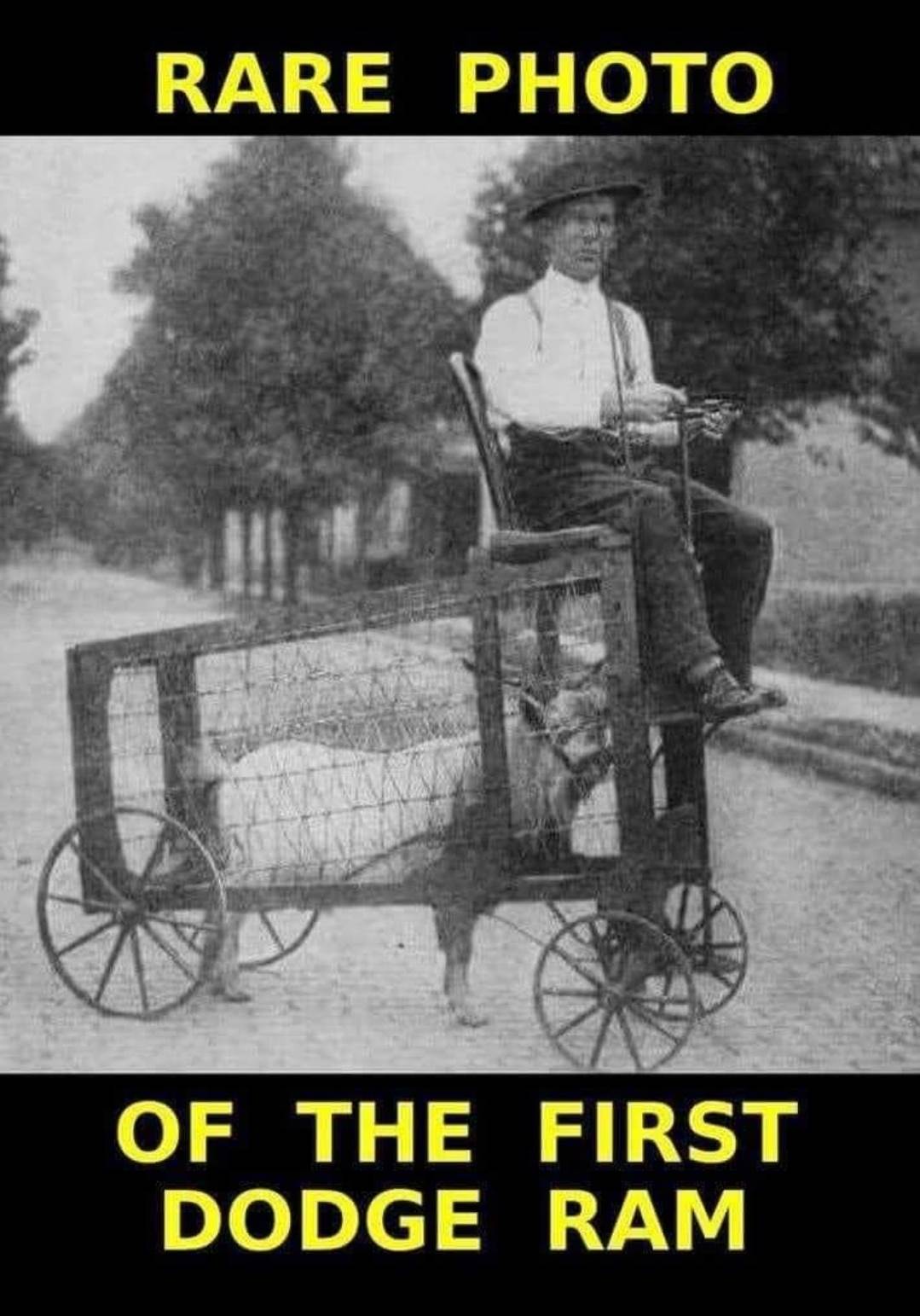 Screenshot20240324161725Facebook