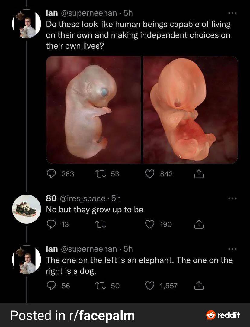 RDT202404041020298336106891578489862