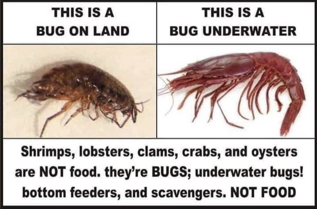 Screenshot20240522-113105