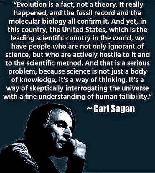 4423918818512799070313951041751070670360534n