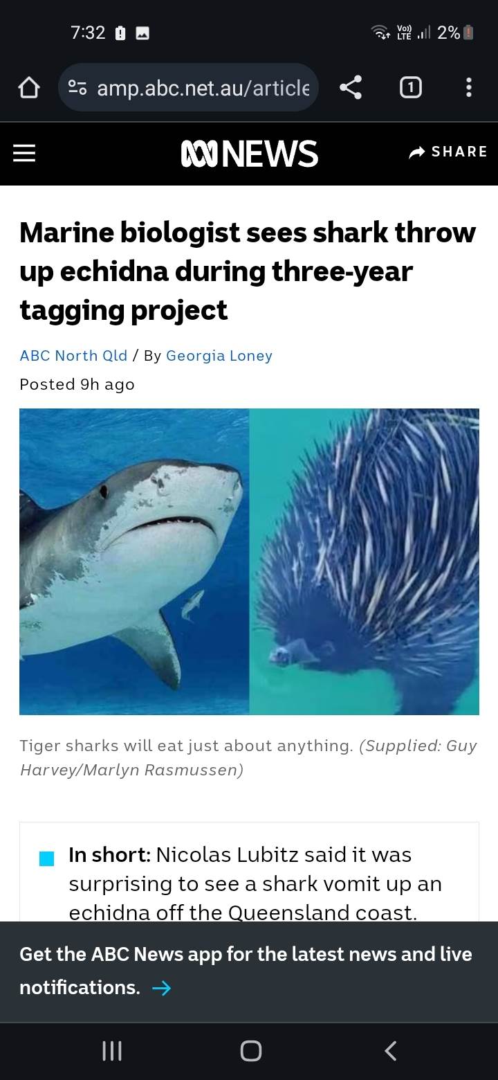 Screenshot20240606-193224Chrome