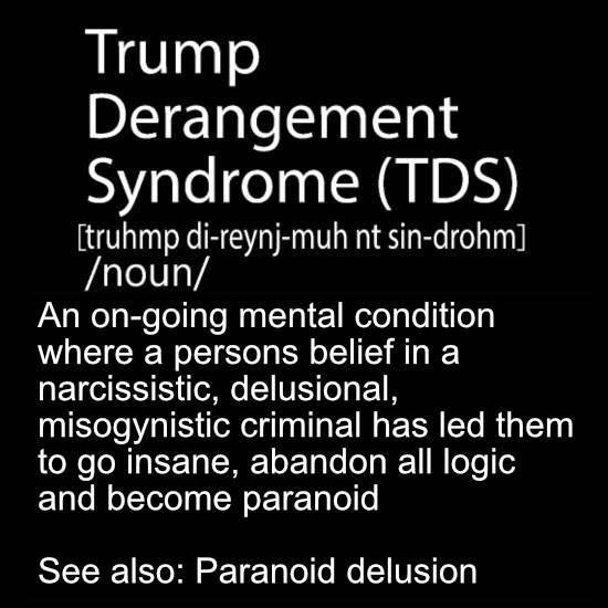 20240613-trump-derangement-syndrome