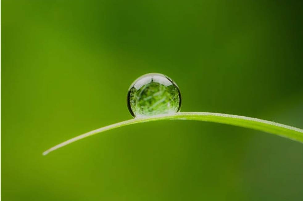 Screenshot20241114230337Chrome