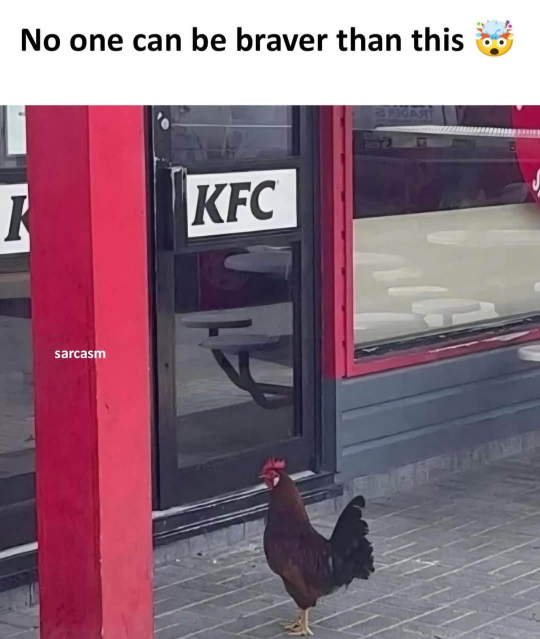 Screenshot20250211-205008