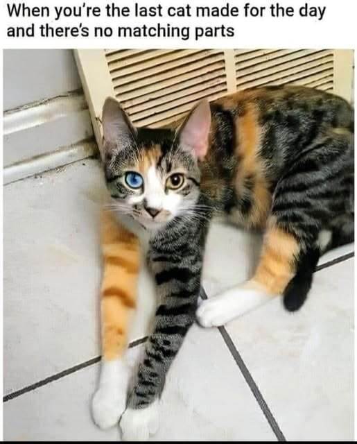 48198168111716178376587484312768151162794898n