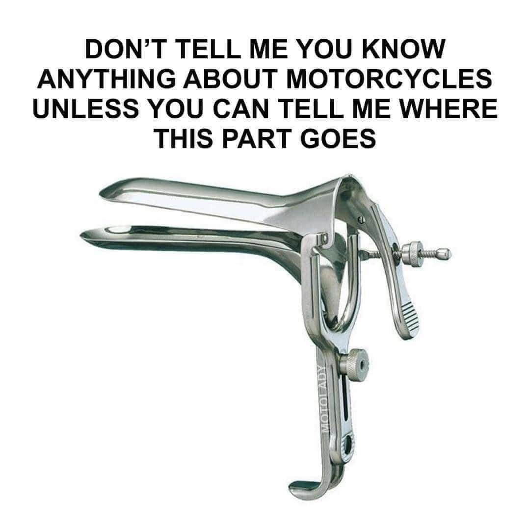 484845395101630208292046802506231210555359980n