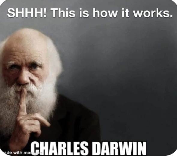 Screenshot20250314-103700