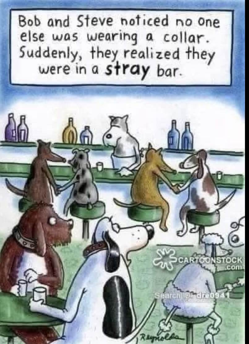 Screenshot20250325-091003