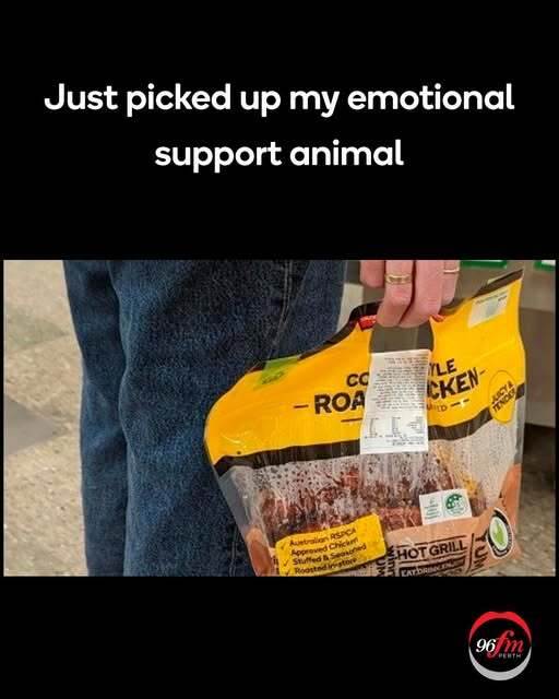 49560603711258129295677358822118919074801623n