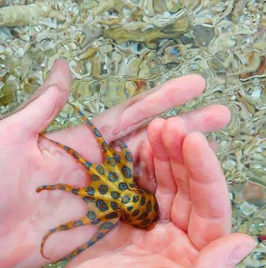 SmartSelect20240107092837Chrome