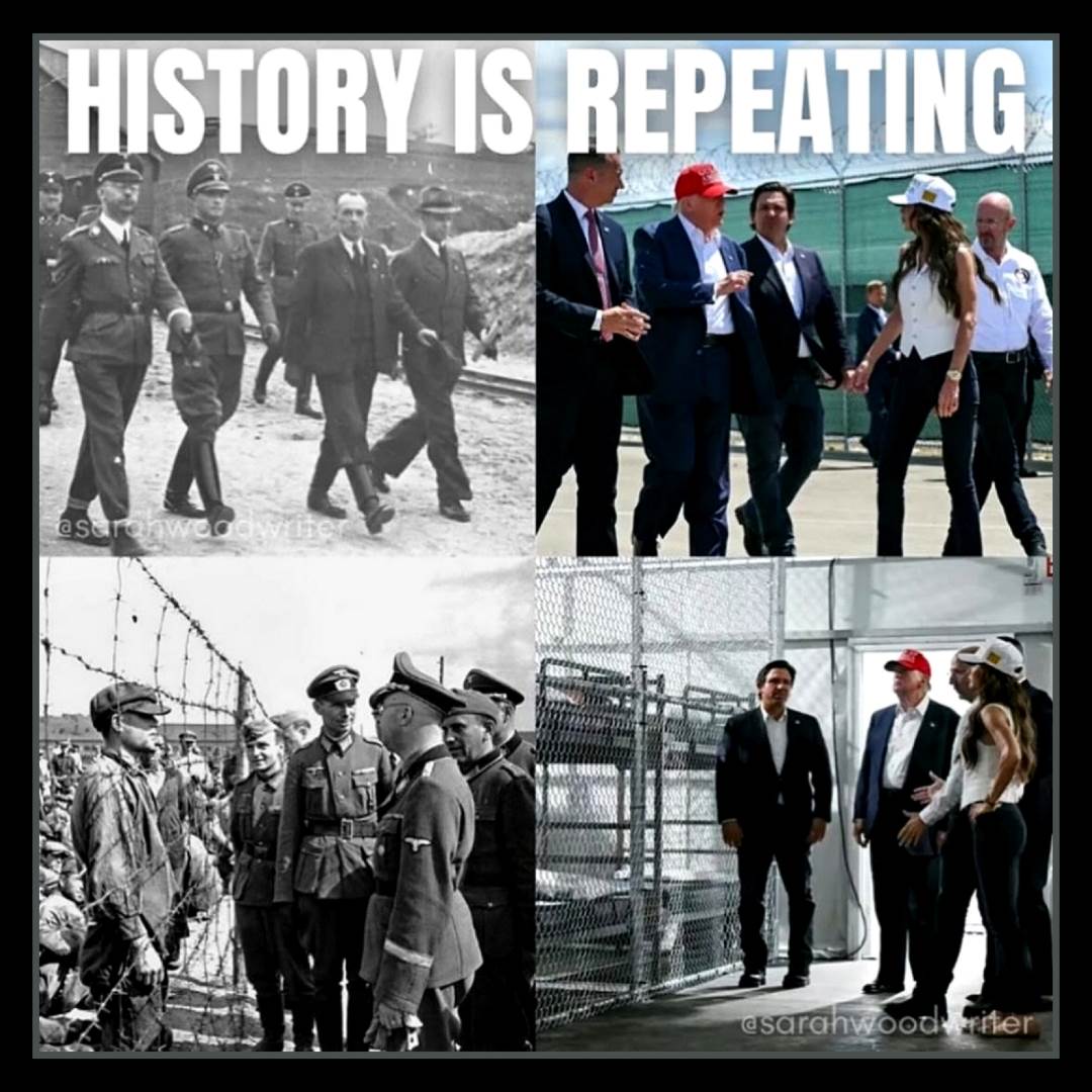 51609950313049256049702022101989059125146858n (1)