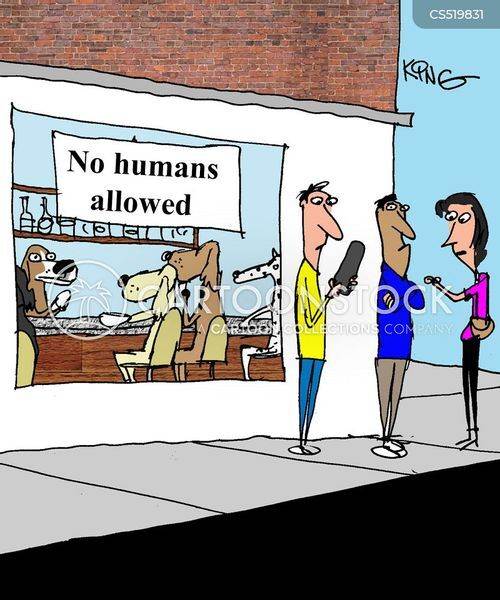 animals-animals-pet-dogfriendly-dogcafes-dogowners-jknn2777low