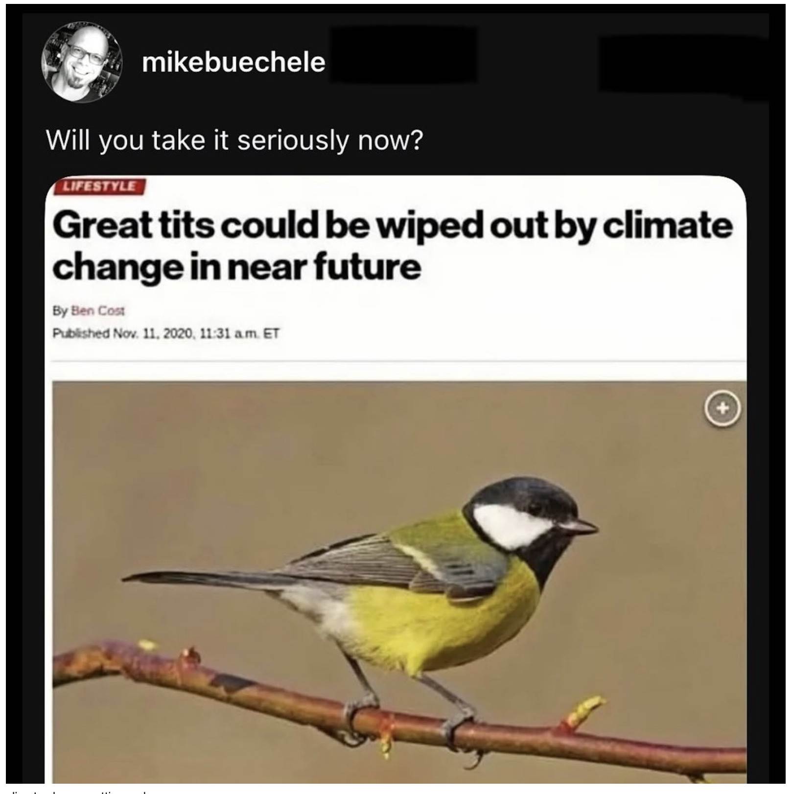 Screenshot 2026-01-18 at 10.06.33