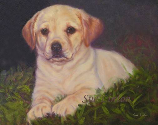 Sue Pet painting 2