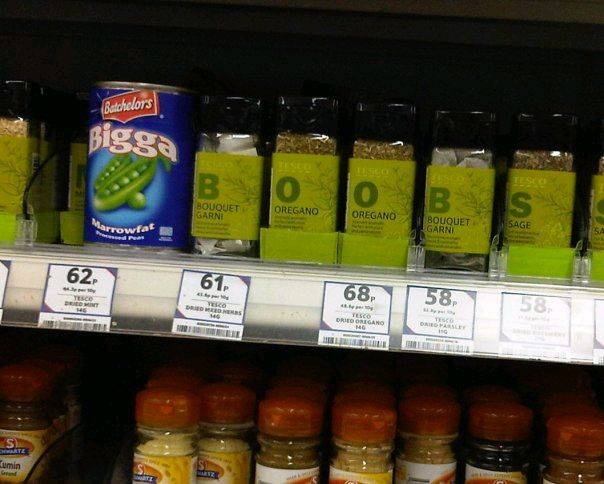 17163 1333195898730 1496017682 30922784 7681293 n