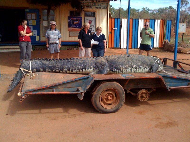 !cid 42B679F50A784A6B93F71F4013B5B6B6@your8abc512da0