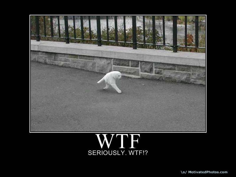 633776650595956775-wtf