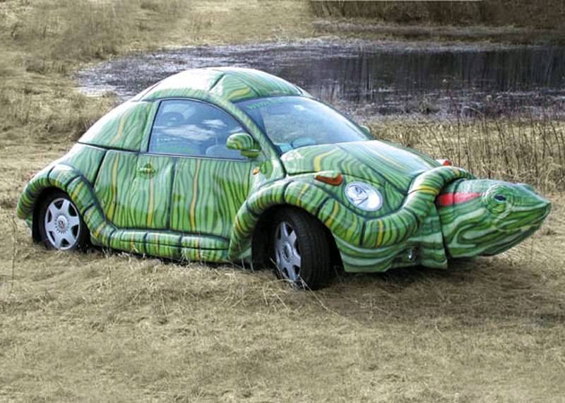 Turtle Car
